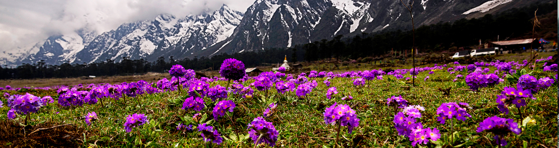 sikkim-gangtok-yumthang-Lachen-Lachung-Darjeeling-Kalimpong-Pelling